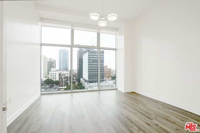 unfurnished room with wood-type flooring