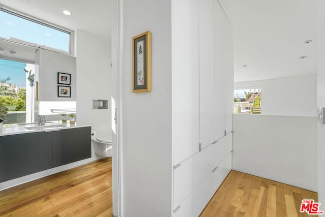 hallway with sink, a wealth of natural light, and light wood-type flooring