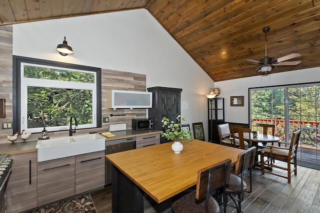 kitchen with wood ceiling, appliances with stainless steel finishes, dark hardwood / wood-style flooring, and sink