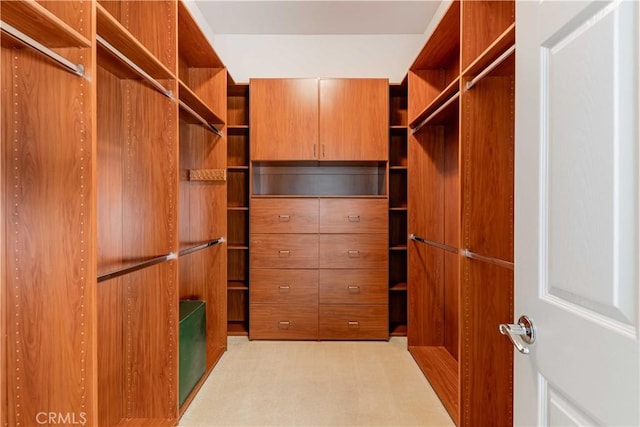 9431 Hughes Dr, Corona, CA 92883 - spacious closet with light carpet