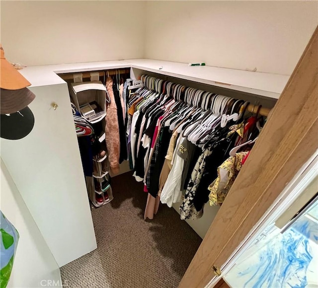 walk in closet featuring carpet