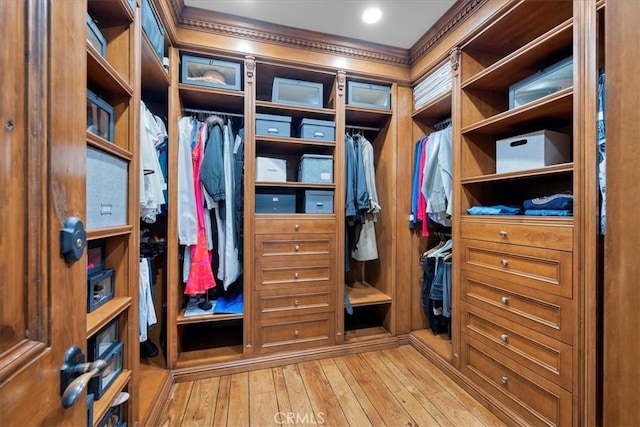 walk in closet with light wood-type flooring