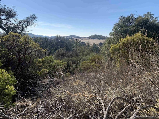 2708 Payson Dr, Julian CA, 92036 land for sale