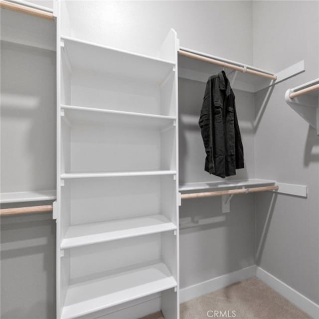 walk in closet with carpet