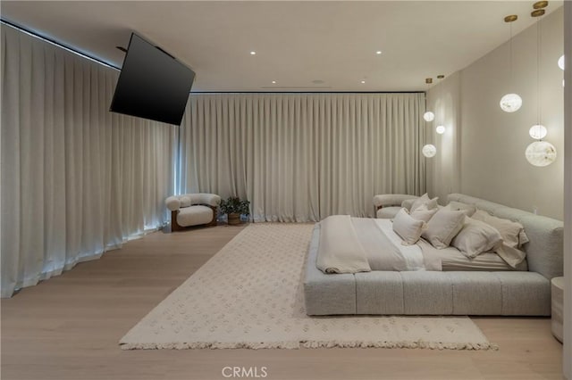 cinema room featuring light wood-type flooring