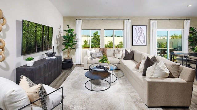 living room with wood-type flooring and a wealth of natural light