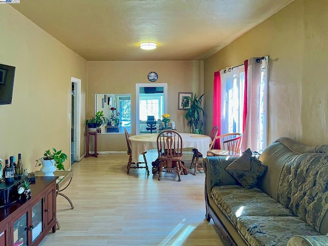 living room featuring a healthy amount of sunlight and light wood-type flooring