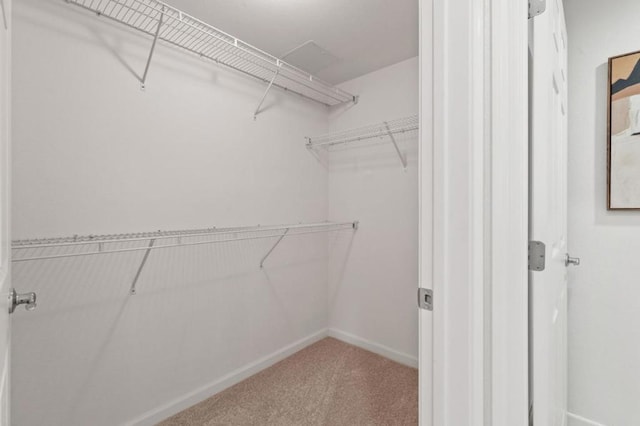 spacious closet with carpet