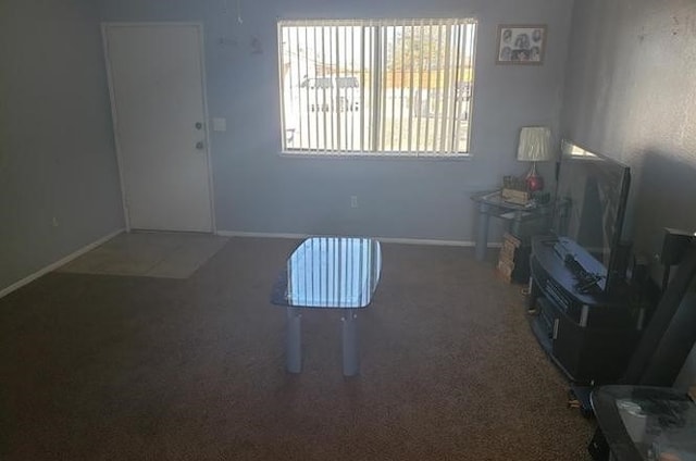 miscellaneous room featuring dark colored carpet