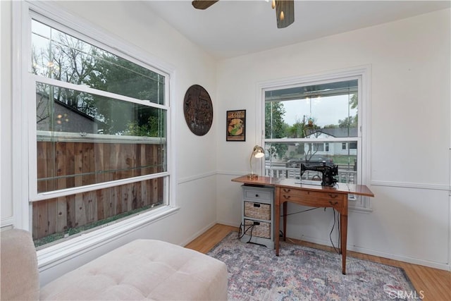 home office featuring ceiling fan and wood-type flooring