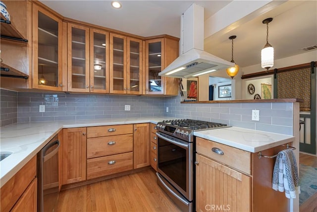 kitchen with pendant lighting, island range hood, light hardwood / wood-style floors, stainless steel appliances, and a barn door