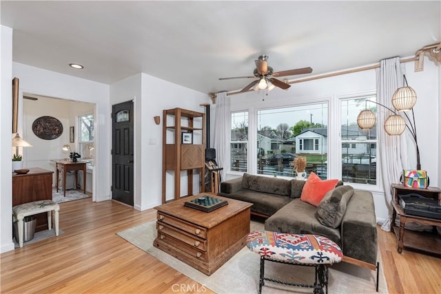 living room with ceiling fan and light hardwood / wood-style flooring