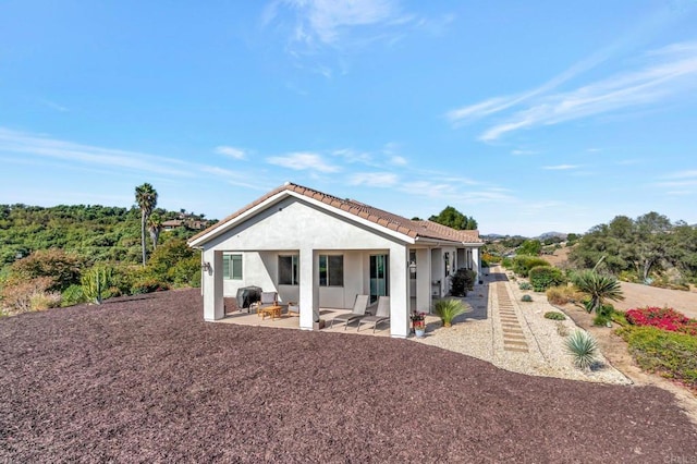 rear view of house featuring a tile roof, a patio, and stucco siding