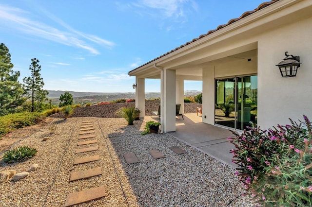 view of yard featuring a patio area