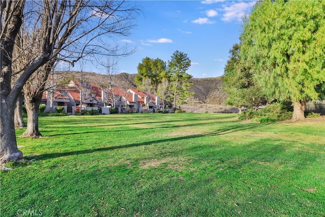 view of community with a yard and a mountain view