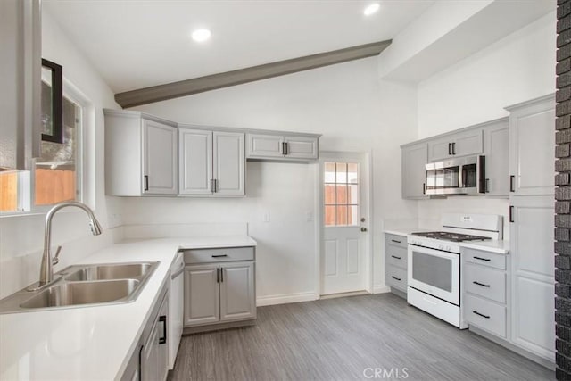 kitchen featuring gray cabinets, high vaulted ceiling, sink, light hardwood / wood-style floors, and white appliances