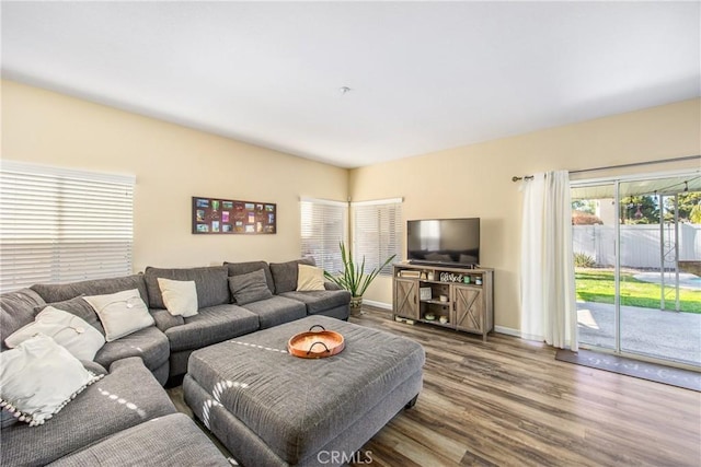 living room featuring wood-type flooring