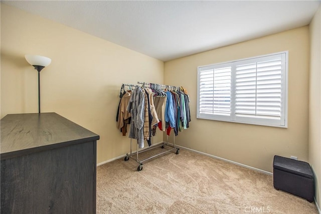 spacious closet featuring light carpet