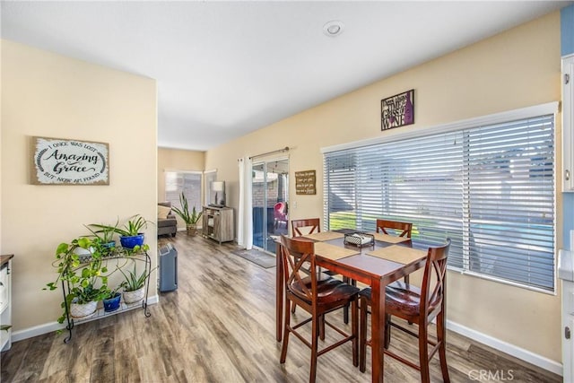 dining area featuring hardwood / wood-style floors