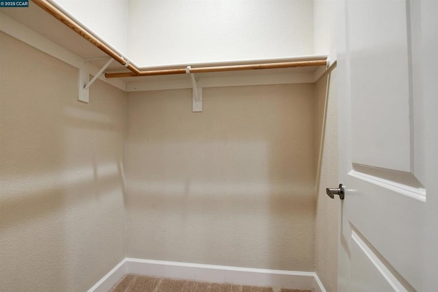 view of walk in closet