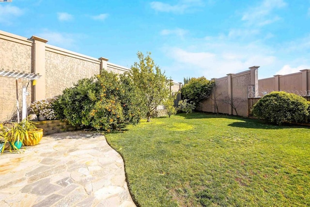 view of yard featuring a patio