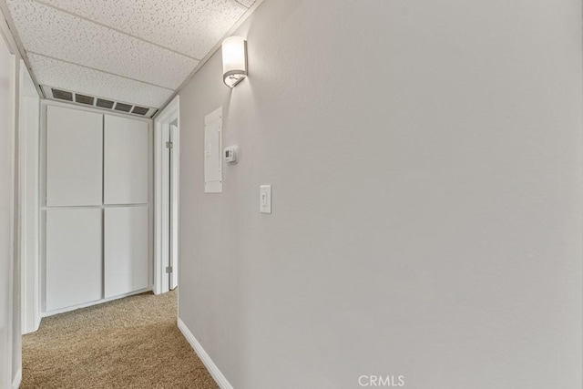 hallway with a drop ceiling and light colored carpet