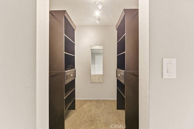 spacious closet with light colored carpet