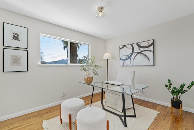 office space with light hardwood / wood-style flooring