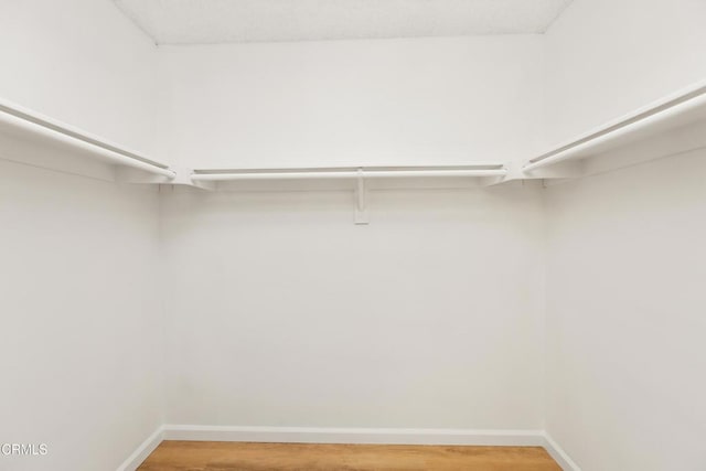 walk in closet featuring hardwood / wood-style floors