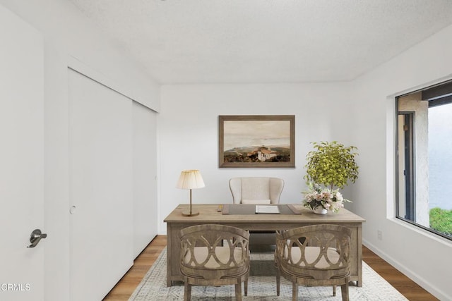 home office featuring wood-type flooring