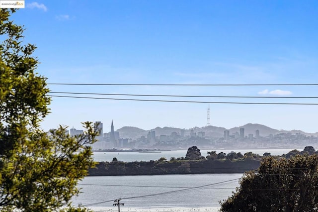 water view featuring a mountain view