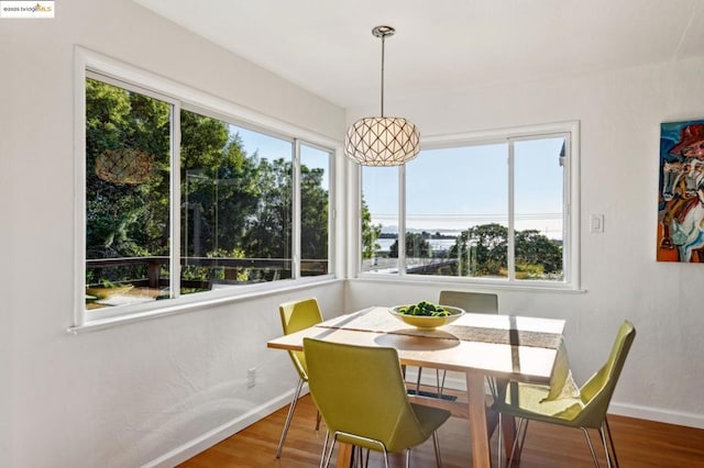 dining room featuring wood-type flooring