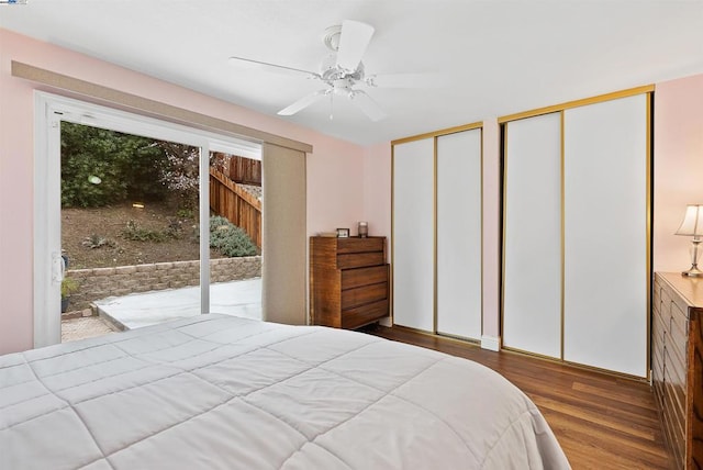 bedroom with multiple closets, ceiling fan, multiple windows, and hardwood / wood-style flooring