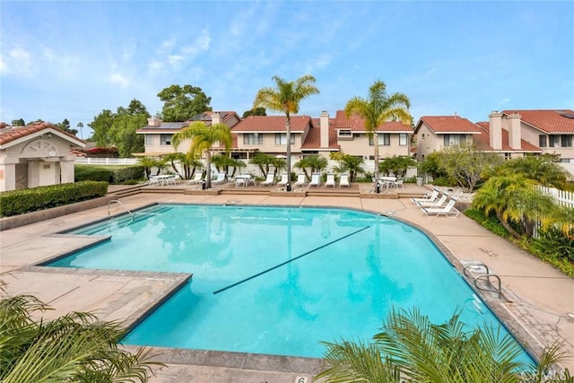 view of swimming pool with a patio