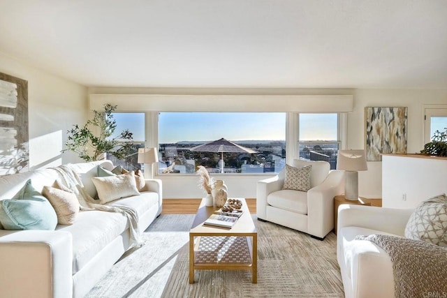 living room featuring light hardwood / wood-style floors