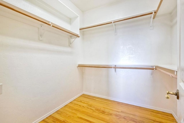 walk in closet featuring light wood finished floors