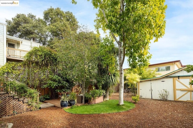 view of yard featuring a shed