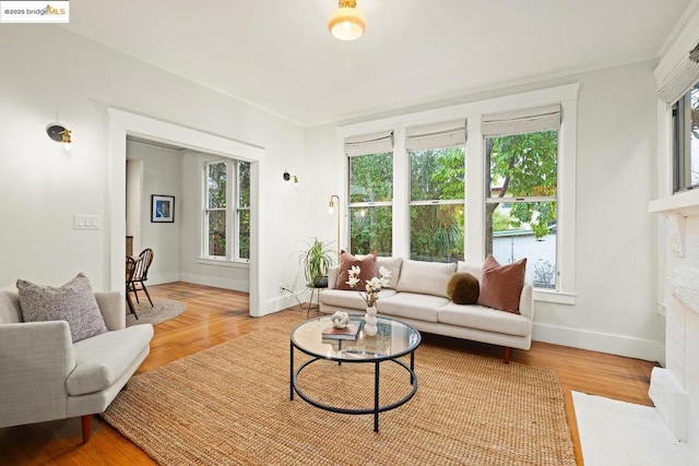 living room with hardwood / wood-style flooring