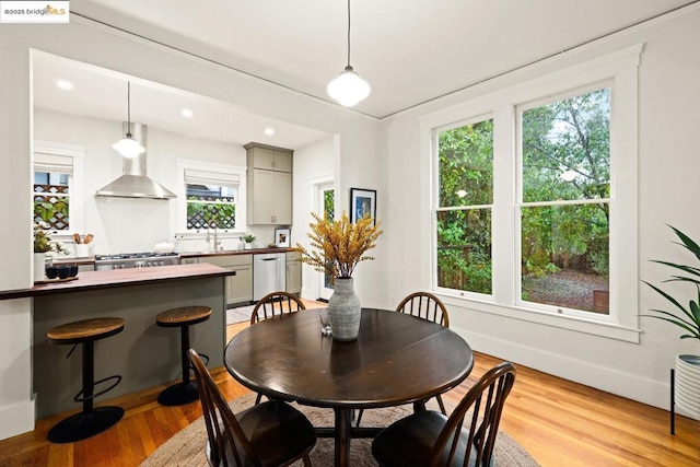 dining space featuring sink and light wood-type flooring