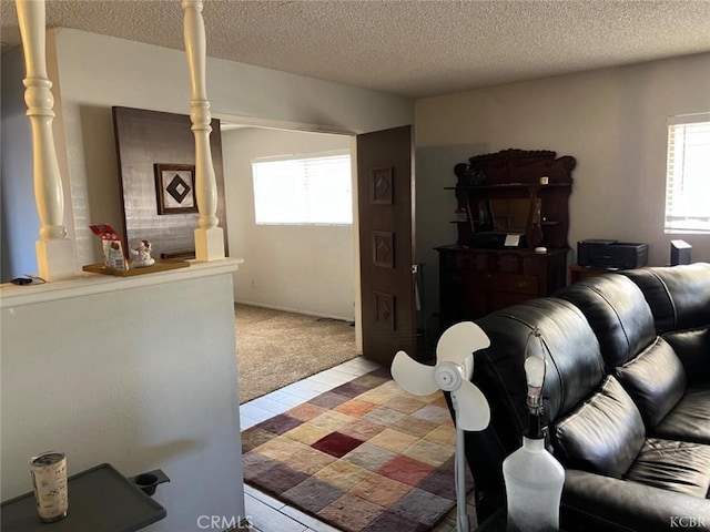 carpeted living room with a textured ceiling