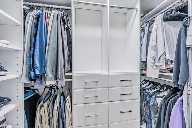 view of spacious closet