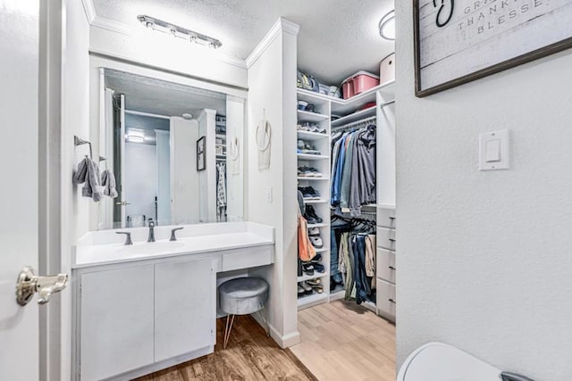 spacious closet with hardwood / wood-style floors and sink