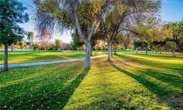26800 Monet Ln, Valencia, CA 91355 - view of property's community with a lawn