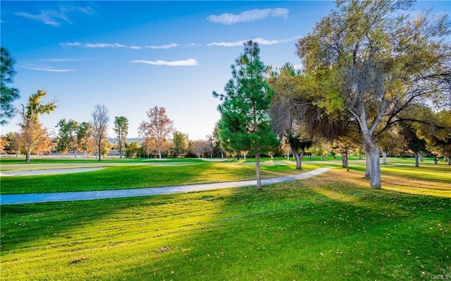 26800 Monet Ln, Valencia, CA 91355 - view of property's community with a lawn