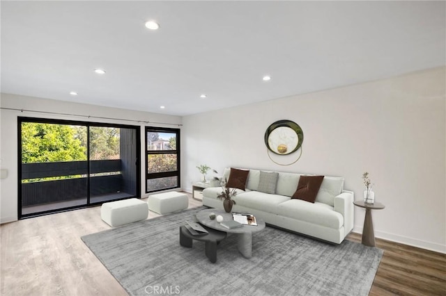 living room featuring hardwood / wood-style floors