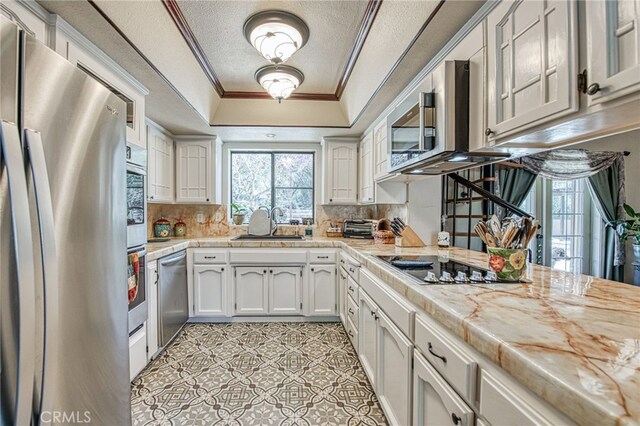 kitchen with sink, appliances with stainless steel finishes, a tray ceiling, ornamental molding, and white cabinets