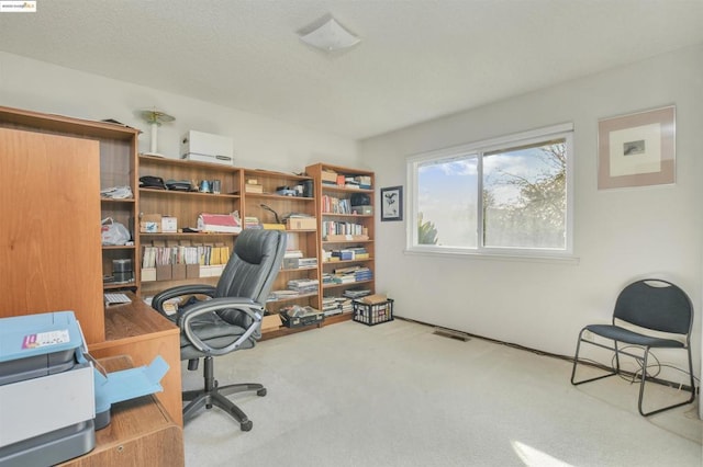 home office featuring carpet flooring