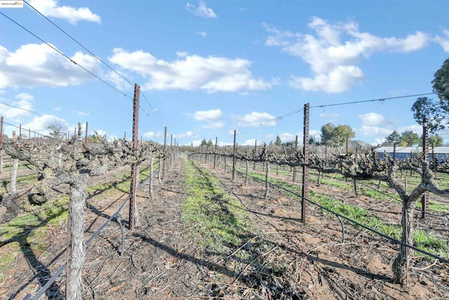 view of yard with a rural view