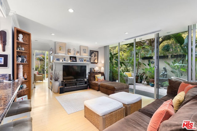 living room with expansive windows and light wood-type flooring