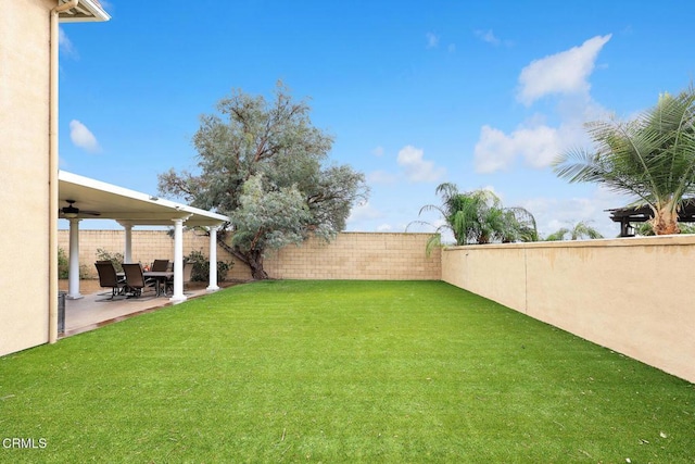 view of yard featuring a patio